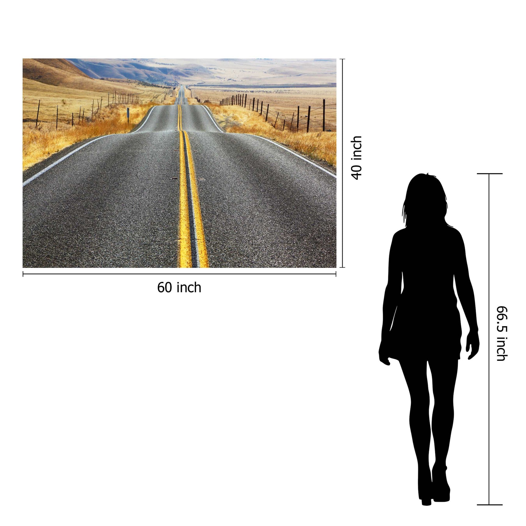 Rolling Road Tempered Glass w / Foil Wall Art - Ornate Home