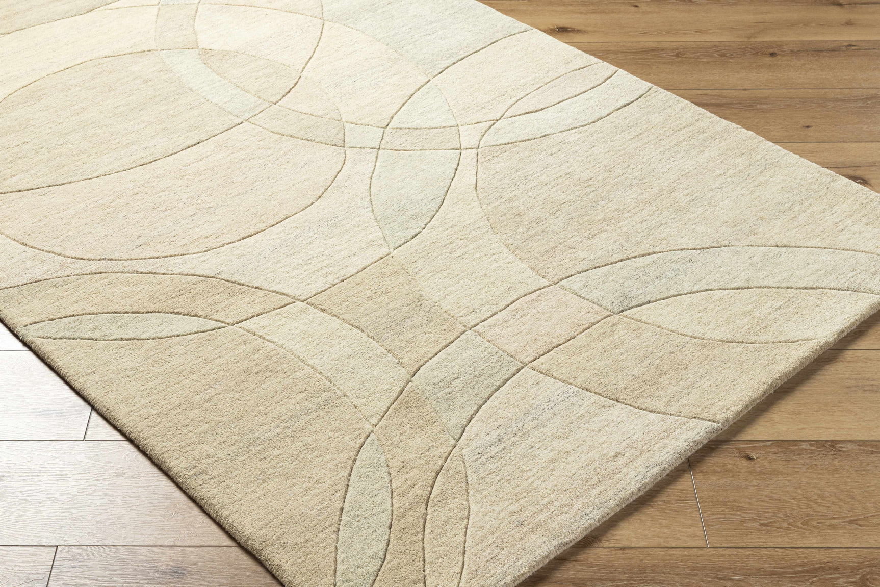 Rollo Area Rug - Clearance - Ornate Home