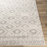 Romeoville Area Rug - Clearance - Ornate Home