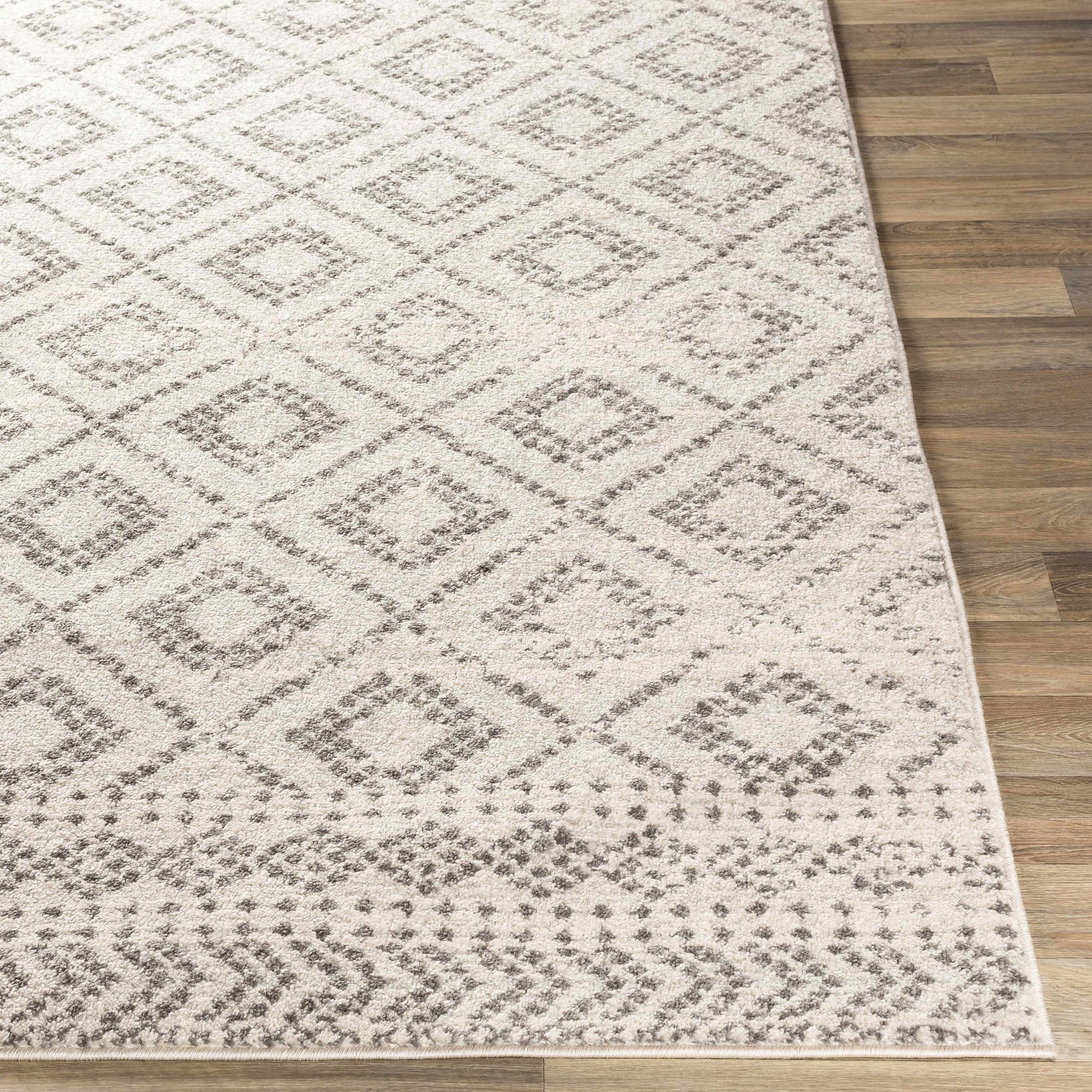 Romeoville Area Rug - Clearance - Ornate Home