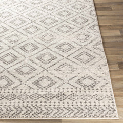 Romeoville Area Rug - Clearance - Ornate Home