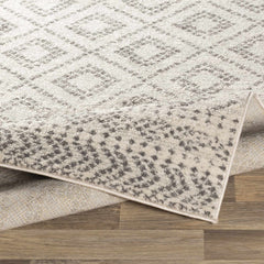 Romeoville Area Rug - Clearance - Ornate Home