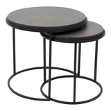 Roost Black Nesting Tables Set Of 2 - Ornate Home