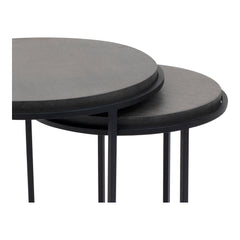 Roost Black Nesting Tables Set Of 2 - Ornate Home