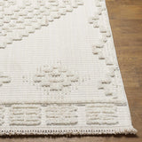 Rosales Cream High&Low Area Rug - Ornate Home