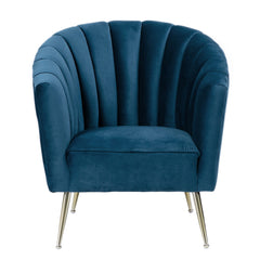Rosemont Accent Chair in Blue and Gold (set of 2) - Ornate Home