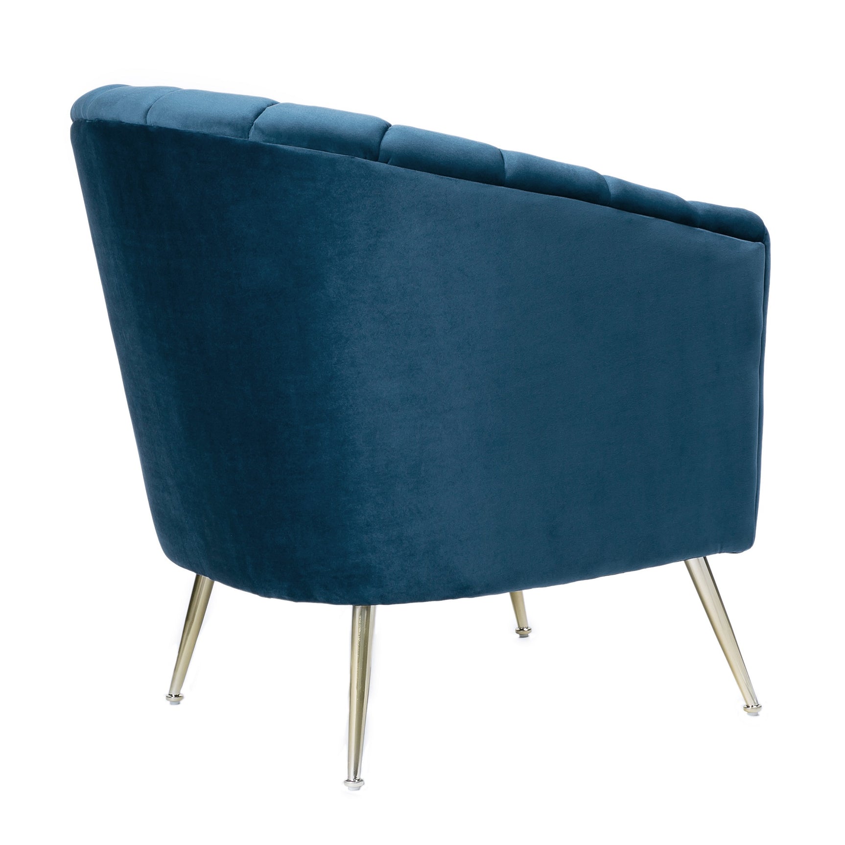 Rosemont Accent Chair in Blue and Gold (set of 2) - Ornate Home