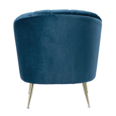 Rosemont Accent Chair in Blue and Gold (set of 2) - Ornate Home