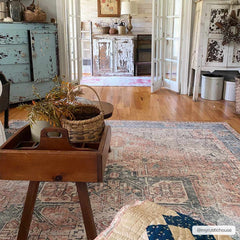 Rosman Distressed Washable Area Rug - Ornate Home
