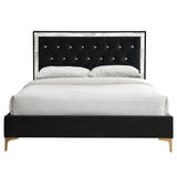 Rowan Black Velvet Upholstered Bed Frame - Ornate Home