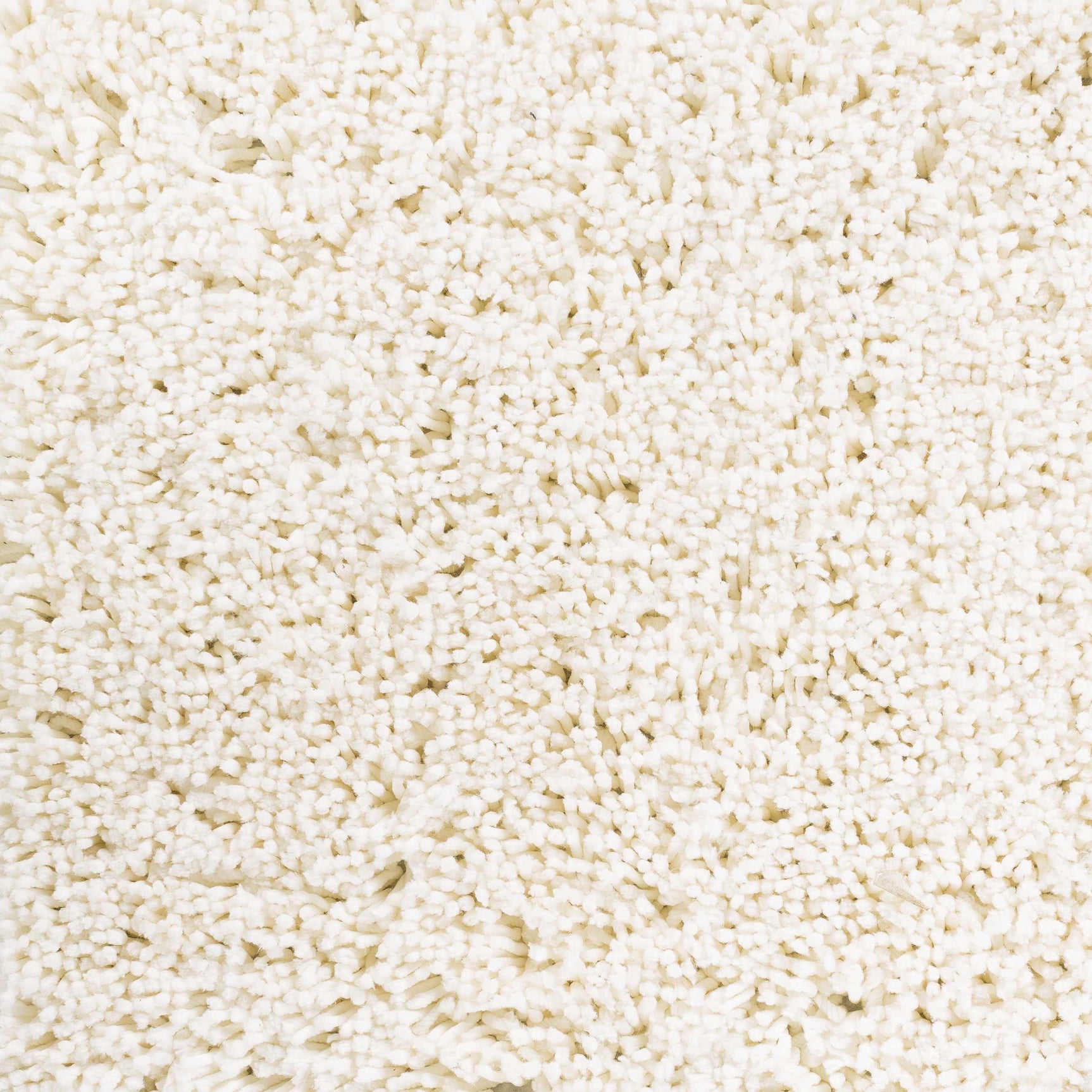 Rowdy Carpet - Clearance - Ornate Home