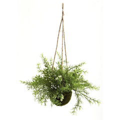 Ruscus, Sedum & Springeri Hanging Basket (Set of 3) - Ornate Home