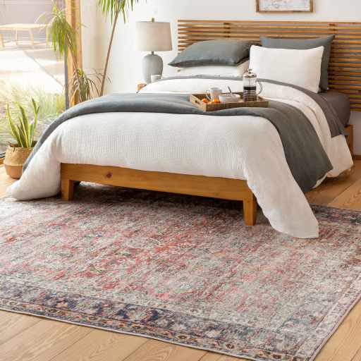 Rust Anahawan Distressed Washable Area Rug - Clearance - Ornate Home