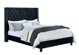 Ryleigh Black Queen Bed - Ornate Home