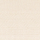 Ryne Area Rug - Ornate Home