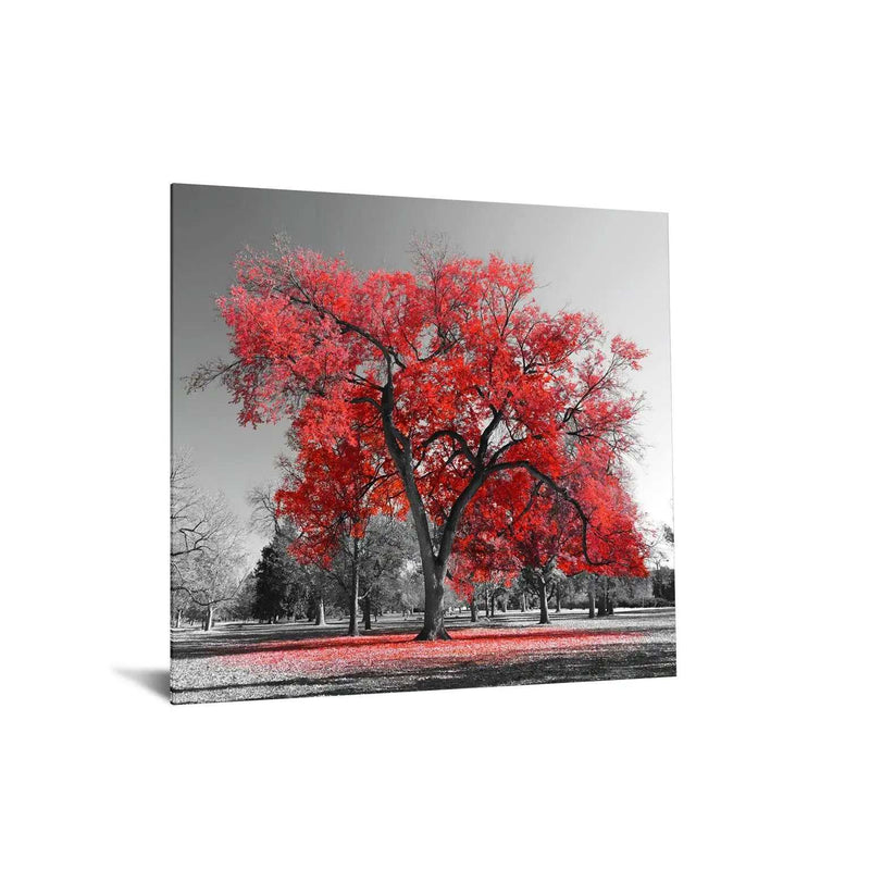 Red Tree Tempered Glass w / Foil - Ornate Home