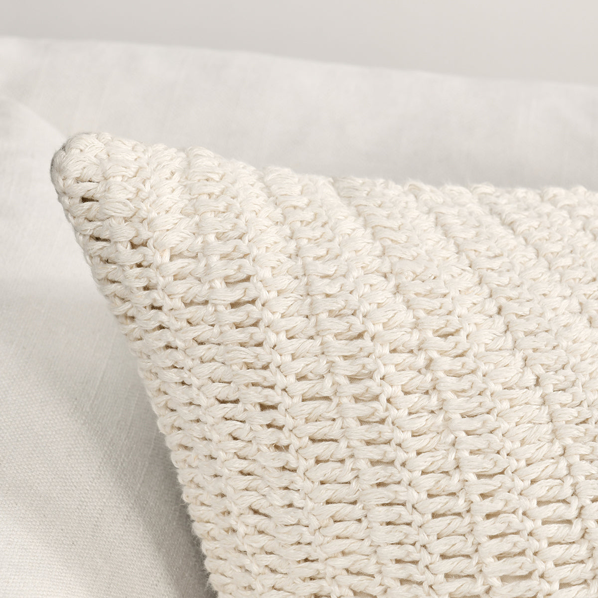 SLD Macie Ivory 22x22 Throw Pillow (Set of 2) - Ornate Home