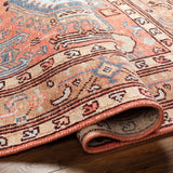 Sandymount Area Rug - Clearance