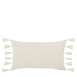 ST Apana Ivory/Natural Multiple Sizes Throw Pillow (Set of 2) - Ornate Home
