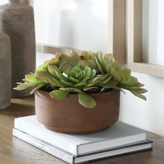 Sable Succulent Brown/Green Accent In Pot - Ornate Home