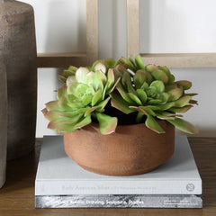 Sable Succulent Brown/Green Accent In Pot - Ornate Home