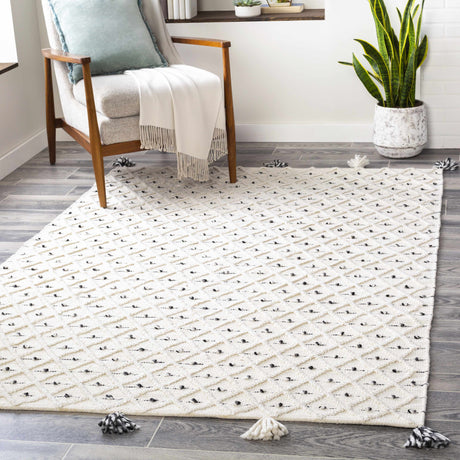 Sadleir Flatweave Performance Rug - Ornate Home