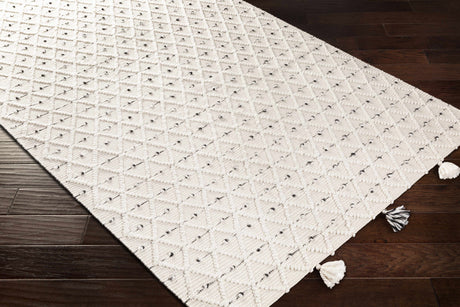 Sadleir Flatweave Performance Rug - Ornate Home