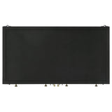 Sadler Matte Black 2-drawer Metal Accent Storage Cabinet - Ornate Home