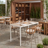 Safal Multicolor Swivel Barstool