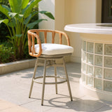 Safal Multicolor Swivel Barstool