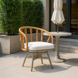 Safal Multicolor Swivel Dining Chair