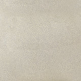 Saffi Table Lamp (Online Special Price) - Ornate Home