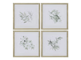 Sage Foliage Greem/White Print