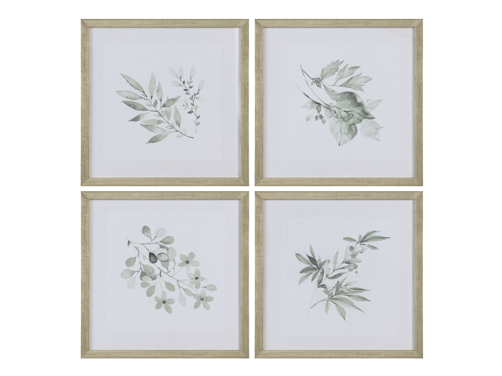 Sage Foliage Greem/White Print