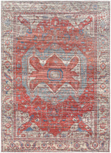 Saif Area Rug - Clearance - Ornate Home