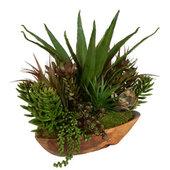 Salar Teak Succulents In Bowl - Ornate Home