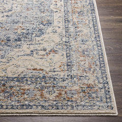 Salmo Area Rug - Clearance - Ornate Home