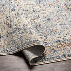 Salmo Area Rug - Clearance - Ornate Home