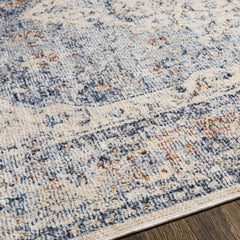 Salmo Area Rug - Clearance - Ornate Home