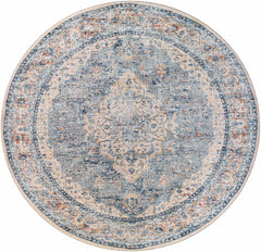 Salmo Area Rug - Clearance - Ornate Home