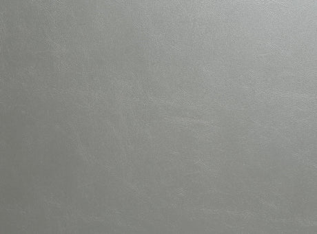 Sandoval Champagne Side Chair (Set of 2) - Ornate Home