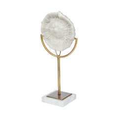 Sandy White Large Coastal Sand Dollar Object - Ornate Home