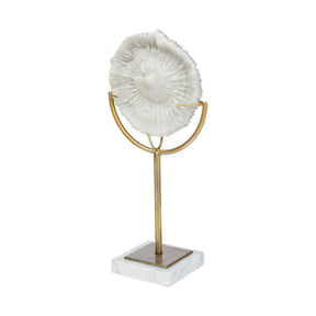 Sandy White Large Coastal Sand Dollar Object - Ornate Home