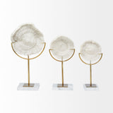 Sandy White Large Coastal Sand Dollar Object - Ornate Home