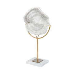Sandy White Small Coastal Sand Dollar Object - Ornate Home