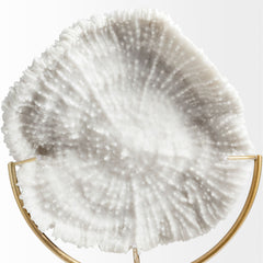 Sandy White Small Coastal Sand Dollar Object - Ornate Home