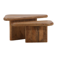 Sansa Brown Coffee Table (Set of 2) - Ornate Home