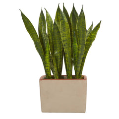 Sansevieria Artificial Plant in Ceramic Planter - Ornate Home