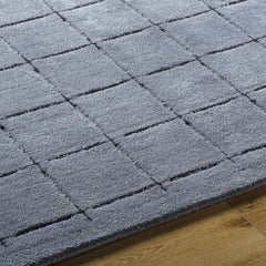 Sanvi Charcoal Area Rug - Ornate Home