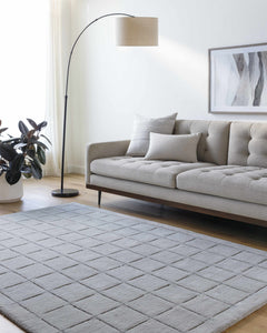Sanvi Gray Area Rug - Ornate Home